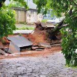 Uruaçu autoriza remoção planejada de árvores em áreas públicas