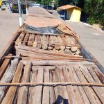 PRF apreende carga ilegal de madeira nativa da Amazônia em Porangatu – Goiás