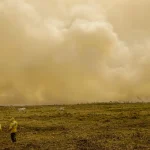 Inmet alerta para grande perigo por baixa umidade em 5 estados e no DF