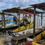 Início do defeso da piracema restringe pesca comercial no país
