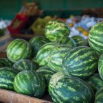 Goiás lidera produção nacional de melancia