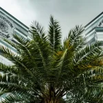 PF adia depoimentos de três investigados no inquérito do Banco Master