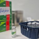 Saúde orienta sobre primeiros socorros em casos de picadas de cobra