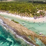 Barulho de barco e de turistas afeta comunicação de peixes, diz estudo 