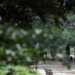 Frio perde intensidade no Sul e seca persiste no centro do país 