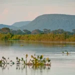 Cerrado brasileiro perdeu 13,9 milhões de hectares de margens de rios 
